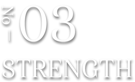 No03 STRENGTH