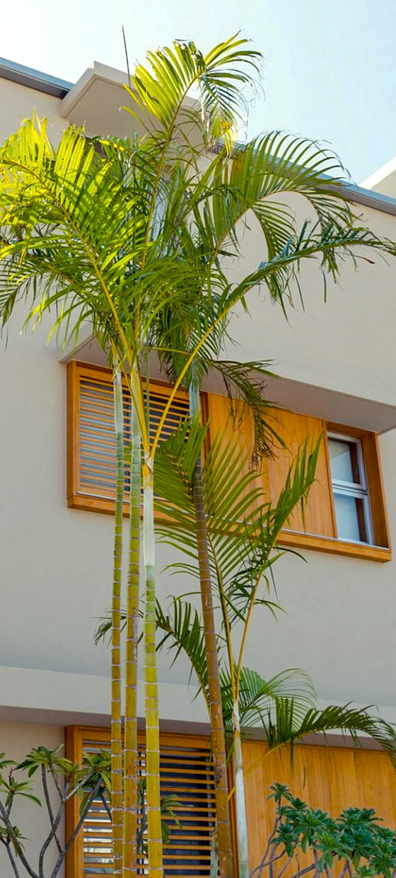 沖縄ホテル投資の基礎知識